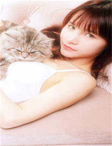 三只小猪3正义大联萌